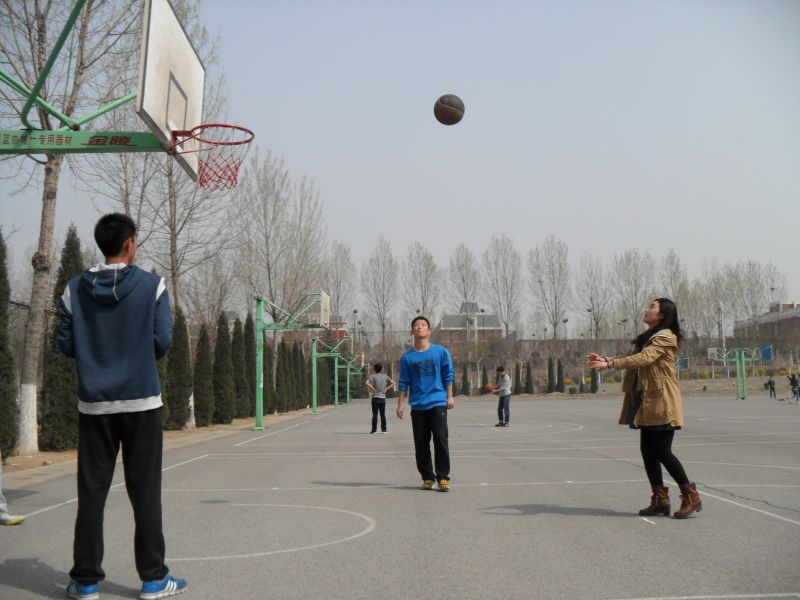 国外足球预测网站