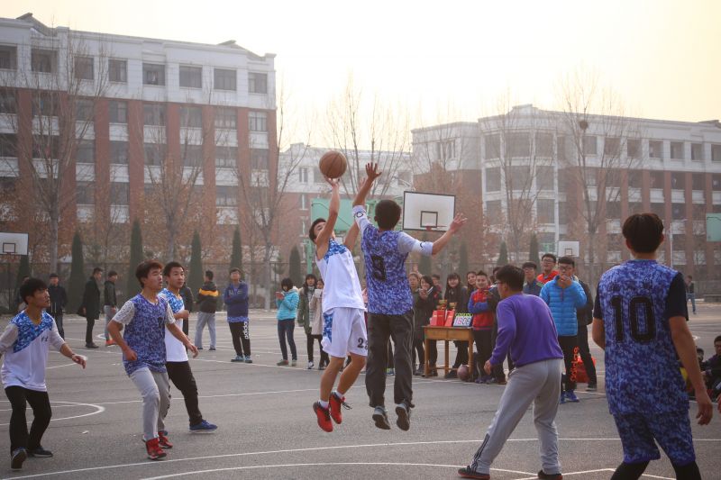 国外足球预测网站