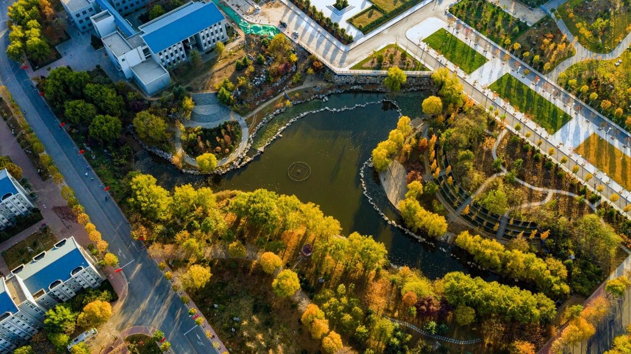 国外足球预测网站