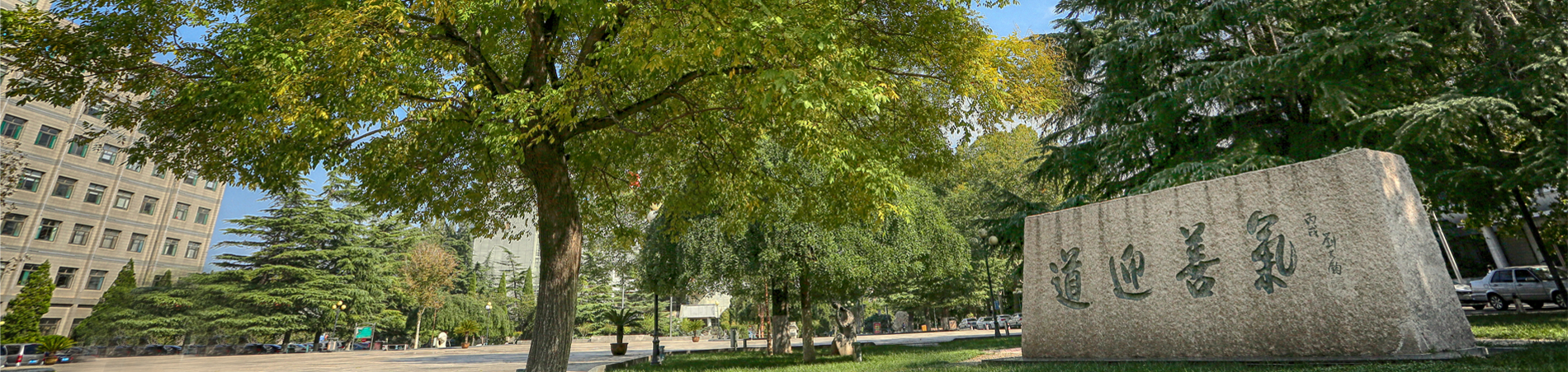 国外足球预测网站